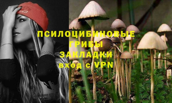 ПСИЛОЦИБИНОВЫЕ ГРИБЫ Абаза