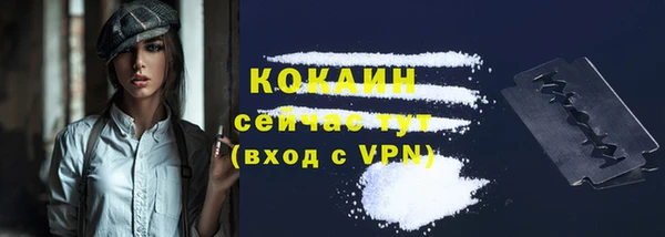 ПСИЛОЦИБИНОВЫЕ ГРИБЫ Абаза