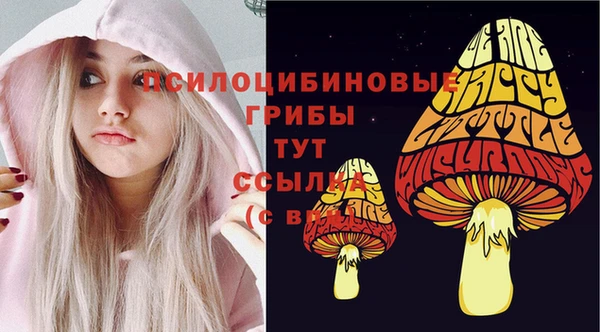 ПСИЛОЦИБИНОВЫЕ ГРИБЫ Абаза