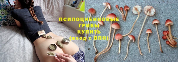 ешки Абдулино