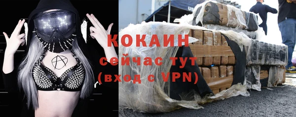 ПСИЛОЦИБИНОВЫЕ ГРИБЫ Абаза